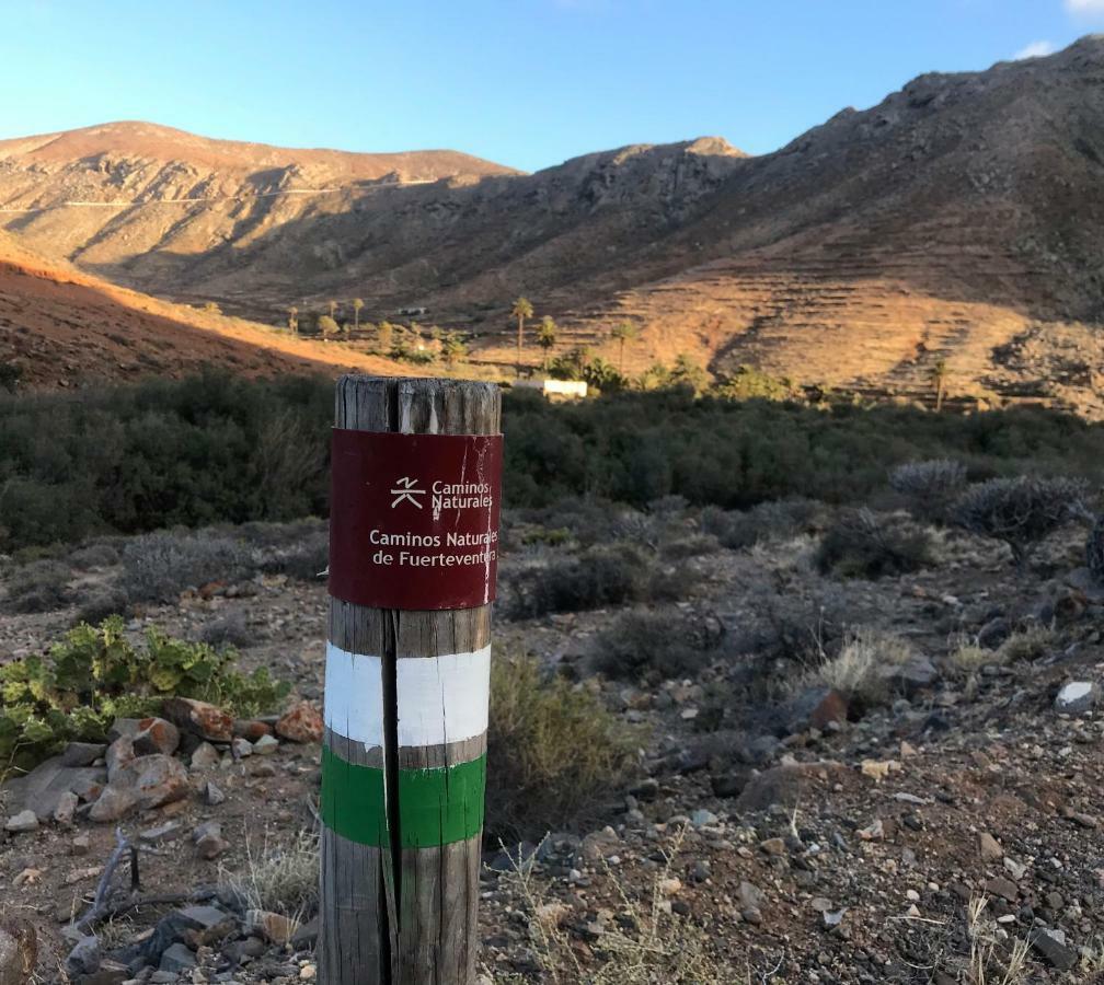PájaraCasa Cactusアパートメント エクステリア 写真